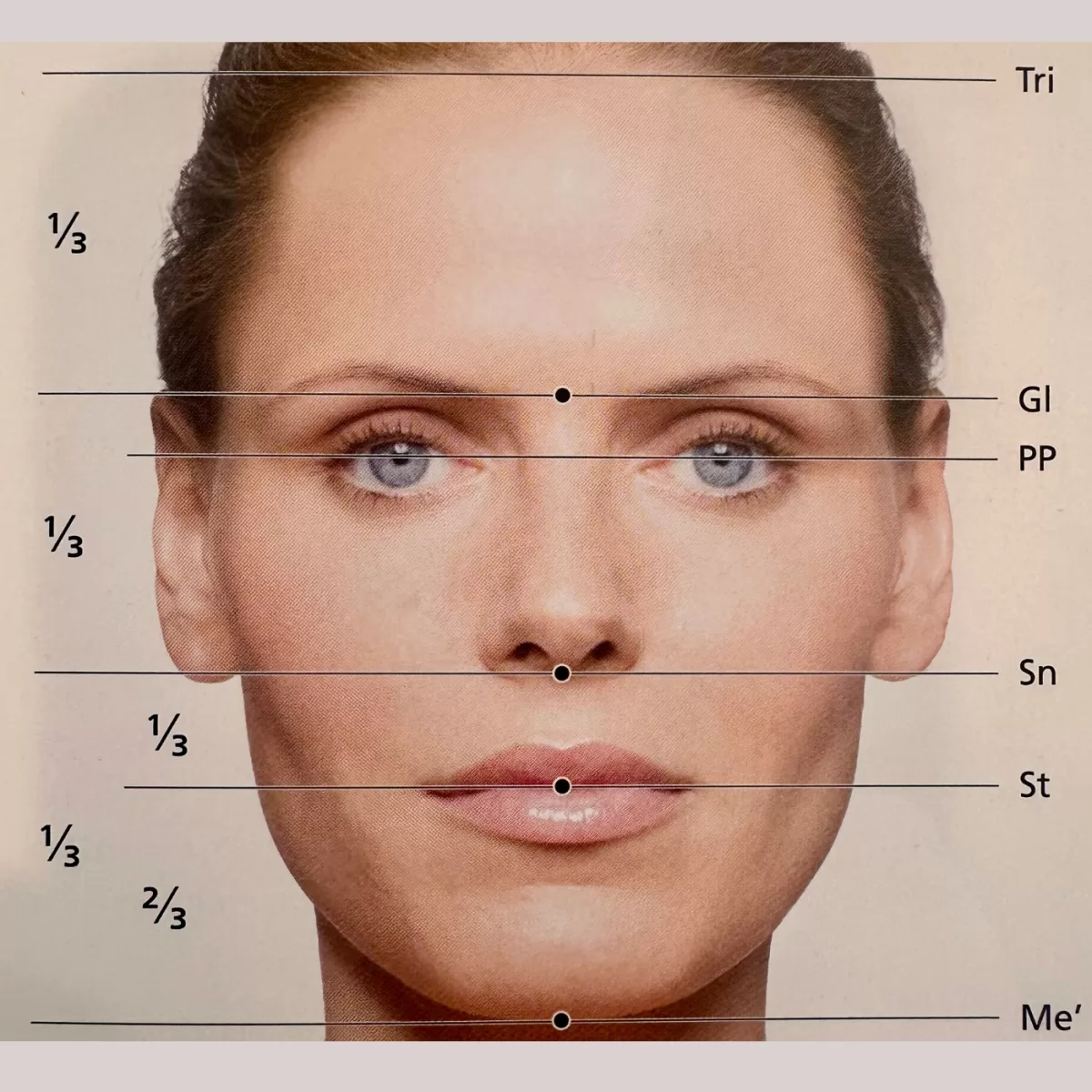 facial balancing with symmetry lines